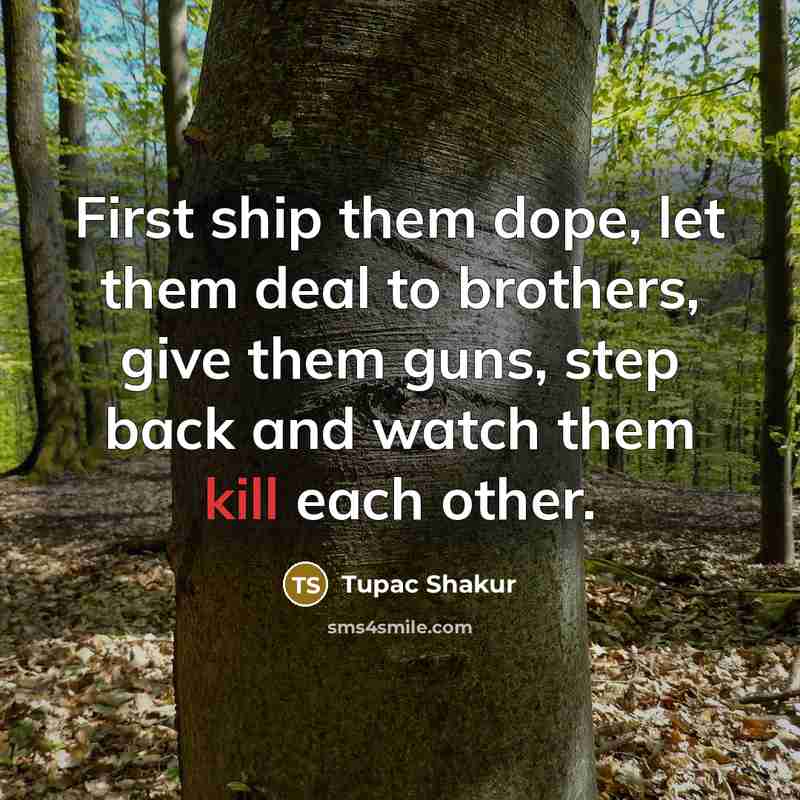 “First ship them dope, let them deal to brothers, give them guns, step back and watch them kill each other.” quote by Tupac Shakur