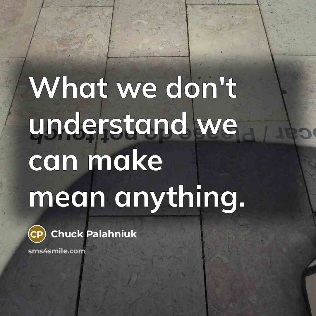 “What we don't understand we can make mean anything.” quote by Chuck Palahniuk