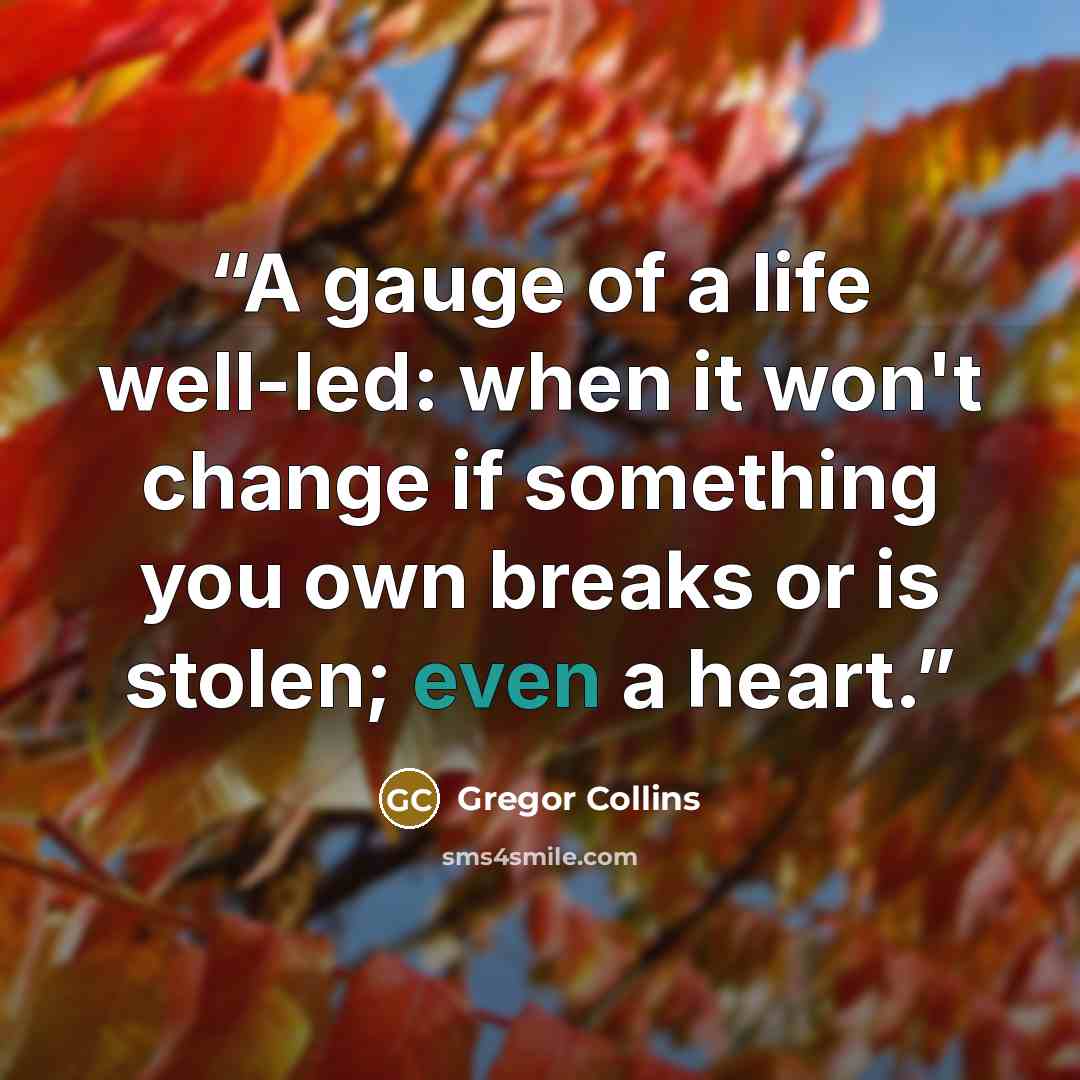 “A gauge of a life well-led: when it won't change if something you own breaks or is stolen; even a heart.” quote by Gregor Collins
