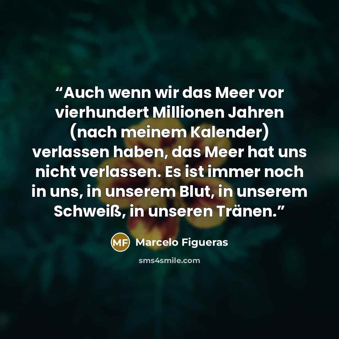 “Auch wenn wir das Meer vor vierhundert Millionen Jahren (nach meinem Kalender) verlassen haben, das Meer hat uns nicht verlassen. Es ist immer noch in uns, in unserem Blut, in unserem Schweiß, in unseren Tränen.” quote by Marcelo Figueras
