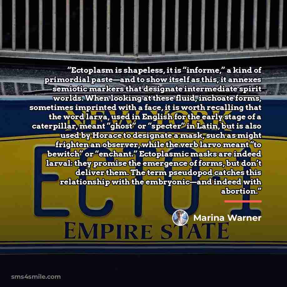 “Ectoplasm is shapeless, it is “informe,” a kind of primordial paste—and to show itself as this, it annexes semiotic markers that designate intermediate spirit worlds. When looking at these fluid, inchoate forms, sometimes imprinted with a face, it is worth recalling that the word larva, used in…” quote by Marina Warner