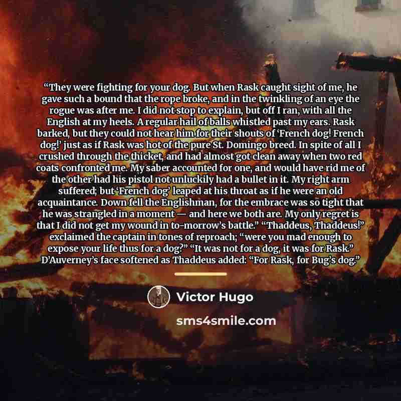 “They were fighting for your dog. But when Rask caught sight of me, he gave such a bound that the rope broke, and in the twinkling of an eye the rogue was after me. I did not stop to explain, but off I ran, with all the English at my heels. A regular hail of balls whistled past my ears. Rask…” quote by Victor Hugo