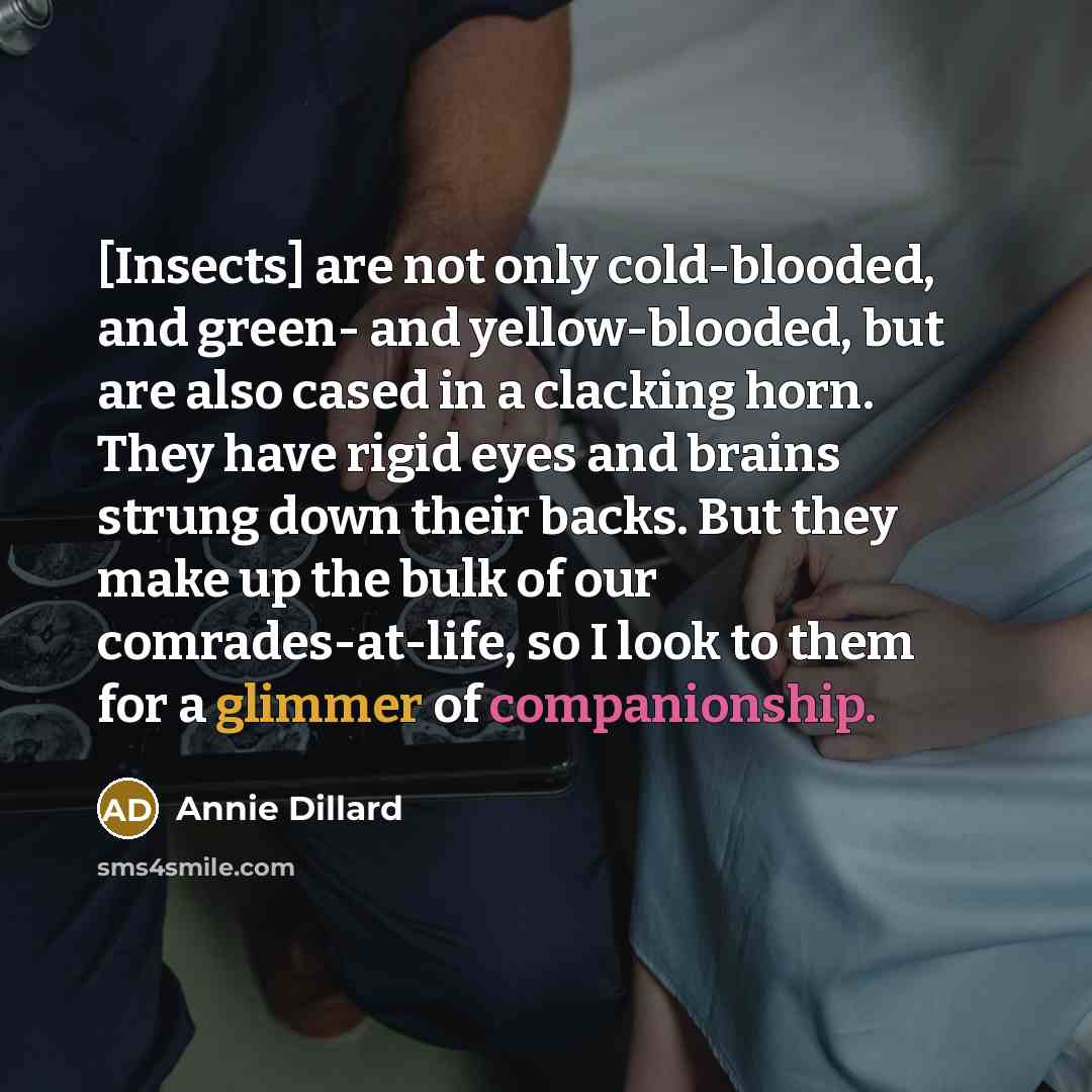 “[Insects] are not only cold-blooded, and green- and yellow-blooded, but are also cased in a clacking horn. They have rigid eyes and brains strung down their backs. But they make up the bulk of our comrades-at-life, so I look to them for a glimmer of companionship.” quote by Annie Dillard