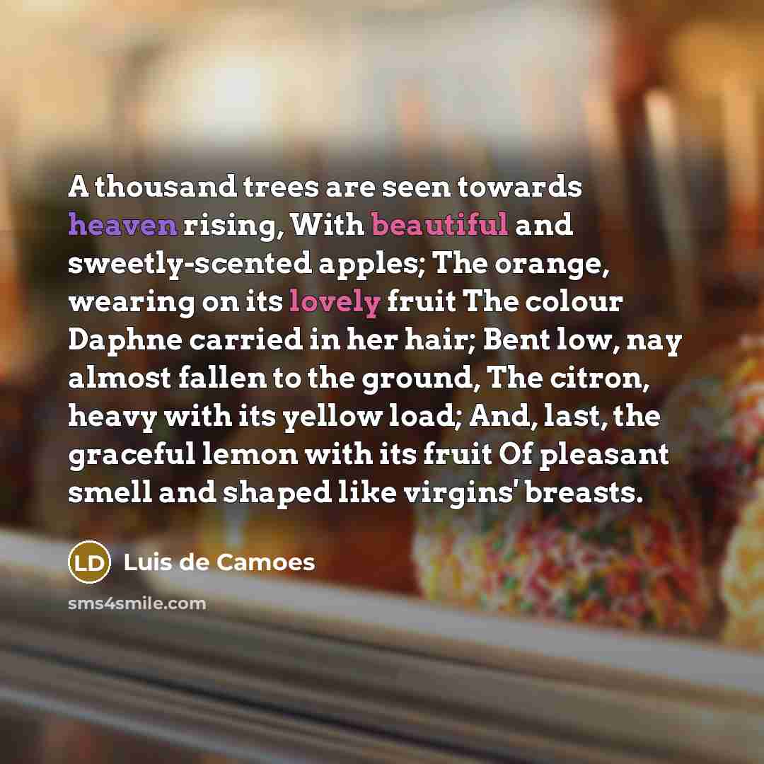 “A thousand trees are seen towards heaven rising, With beautiful and sweetly-scented apples; The orange, wearing on its lovely fruit The colour Daphne carried in her hair; Bent low, nay almost fallen to the ground, The citron, heavy with its yellow load; And, last, the graceful lemon with its fruit…” quote by Luis de Camoes