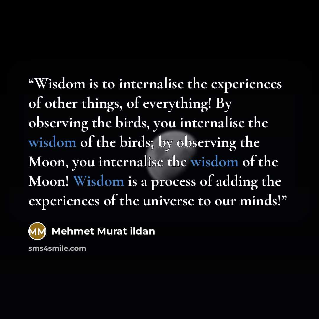 “Wisdom is to internalise the experiences of other things, of everything! By observing the birds, you internalise the wisdom of the birds; by observing the Moon, you internalise the wisdom of the Moon! Wisdom is a process of adding the experiences of the universe to our minds!” quote by Mehmet Murat ildan