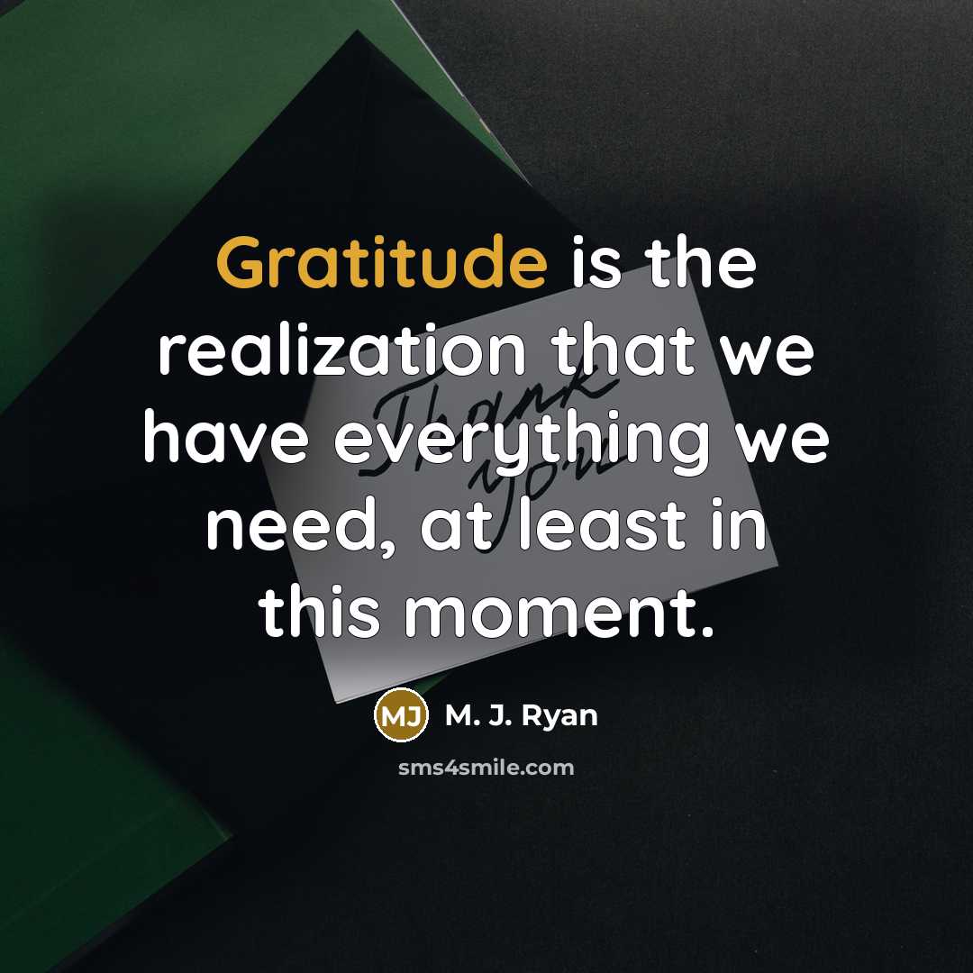 “Gratitude is the realization that we have everything we need, at least in this moment.” quote by M. J. Ryan
