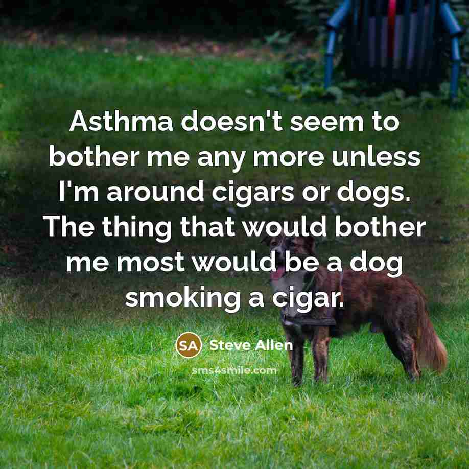 “Asthma doesn't seem to bother me any more unless I'm around cigars or dogs. The thing that would bother me most would be a dog smoking a cigar.” quote by Steve Allen