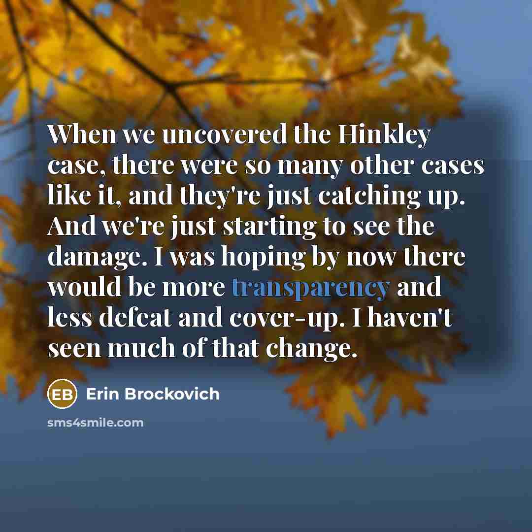 “When we uncovered the Hinkley case, there were so many other cases like it, and they're just catching up. And we're just starting to see the damage. I was hoping by now there would be more transparency and less defeat and cover-up. I haven't seen much of that change.” quote by Erin Brockovich