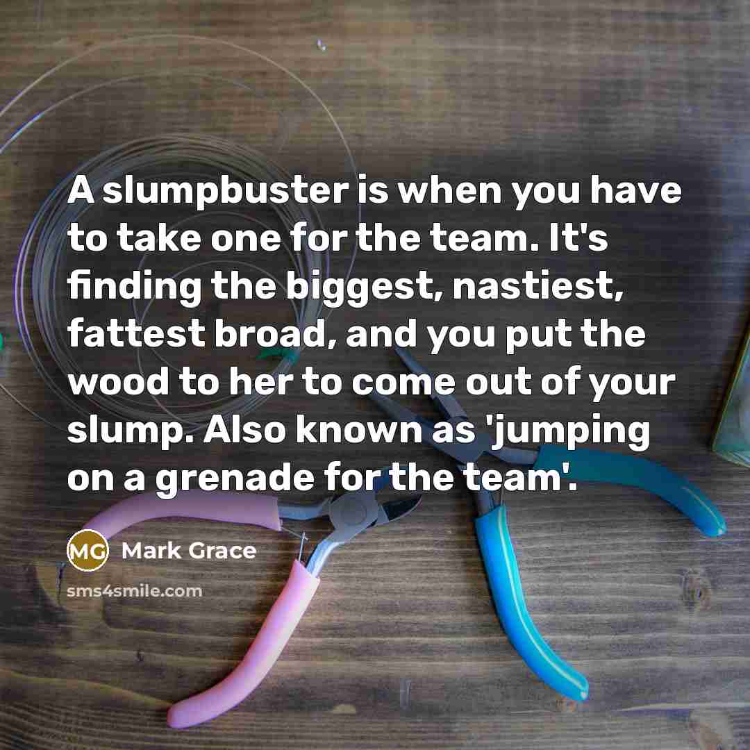 “A slumpbuster is when you have to take one for the team. It's finding the biggest, nastiest, fattest broad, and you put the wood to her to come out of your slump. Also known as 'jumping on a grenade for the team'.” quote by Mark Grace