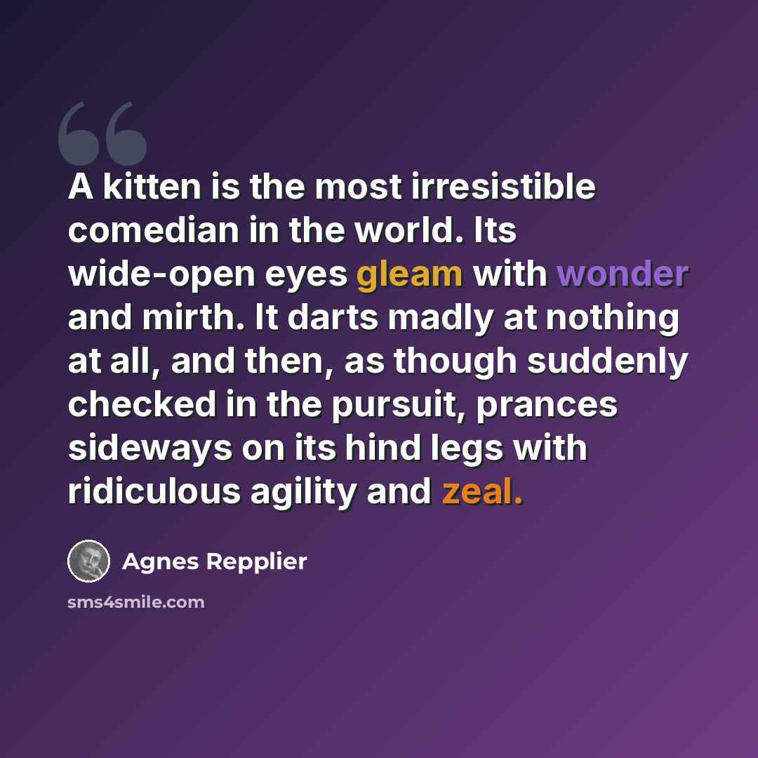 “A kitten is the most irresistible comedian in the world. Its wide-open eyes gleam with wonder and mirth. It darts madly at nothing at all, and then, as though suddenly checked in the pursuit, prances sideways on its hind legs with ridiculous agility and zeal.” quote by Agnes Repplier