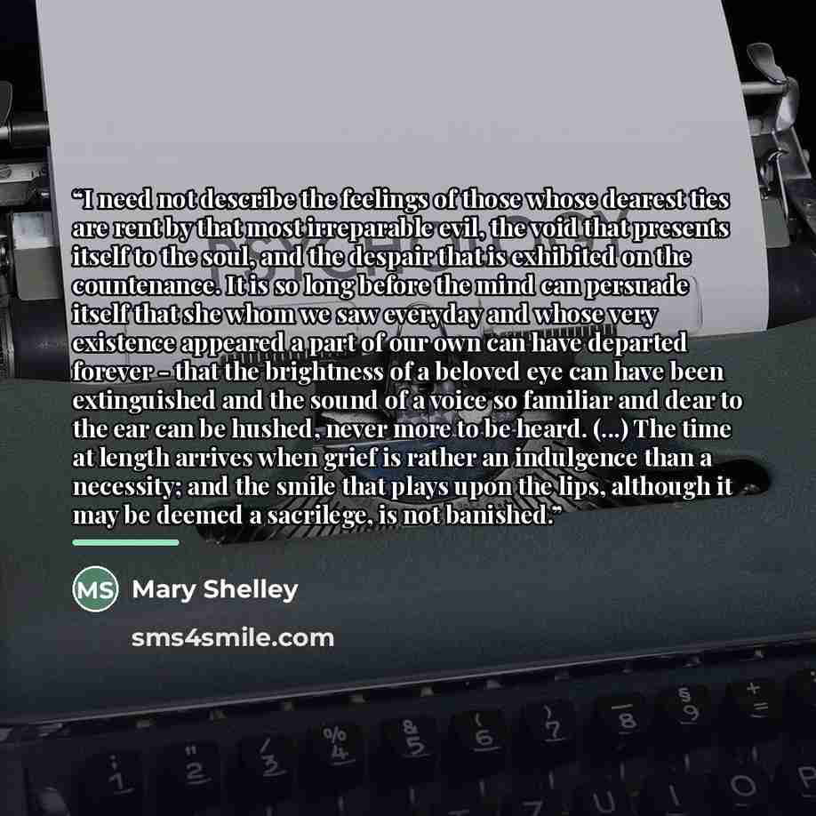 “I need not describe the feelings of those whose dearest ties are rent by that most irreparable evil, the void that presents itself to the soul, and the despair that is exhibited on the countenance. It is so long before the mind can persuade itself that she whom we saw everyday and whose very…” quote by Mary Shelley