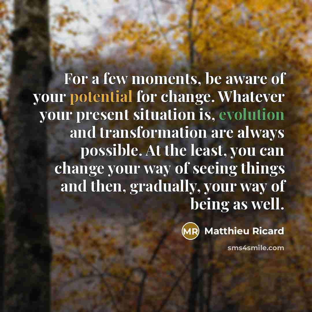 “For a few moments, be aware of your potential for change. Whatever your present situation is, evolution and transformation are always possible. At the least, you can change your way of seeing things and then, gradually, your way of being as well.” quote by Matthieu Ricard