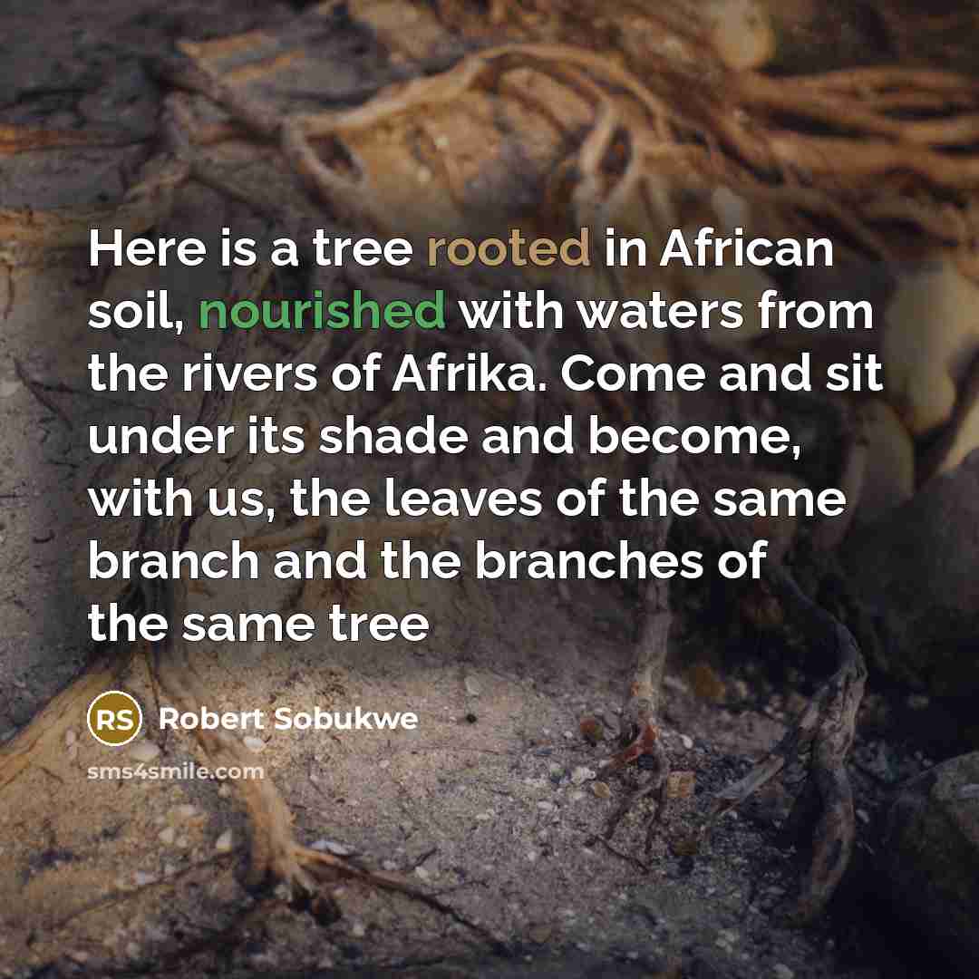 “Here is a tree rooted in African soil, nourished with waters from the rivers of Afrika. Come and sit under its shade and become, with us, the leaves of the same branch and the branches of the same tree” quote by Robert Sobukwe