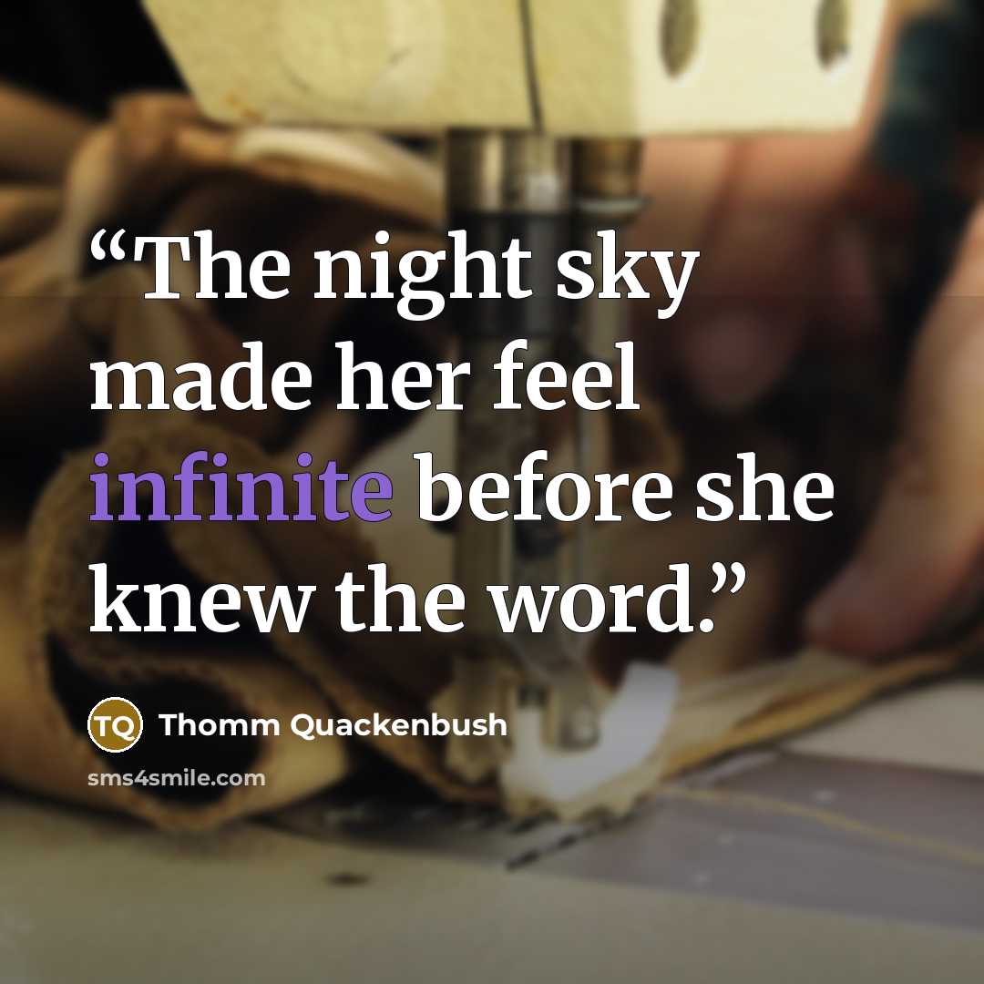 “The night sky made her feel infinite before she knew the word.” quote by Thomm Quackenbush