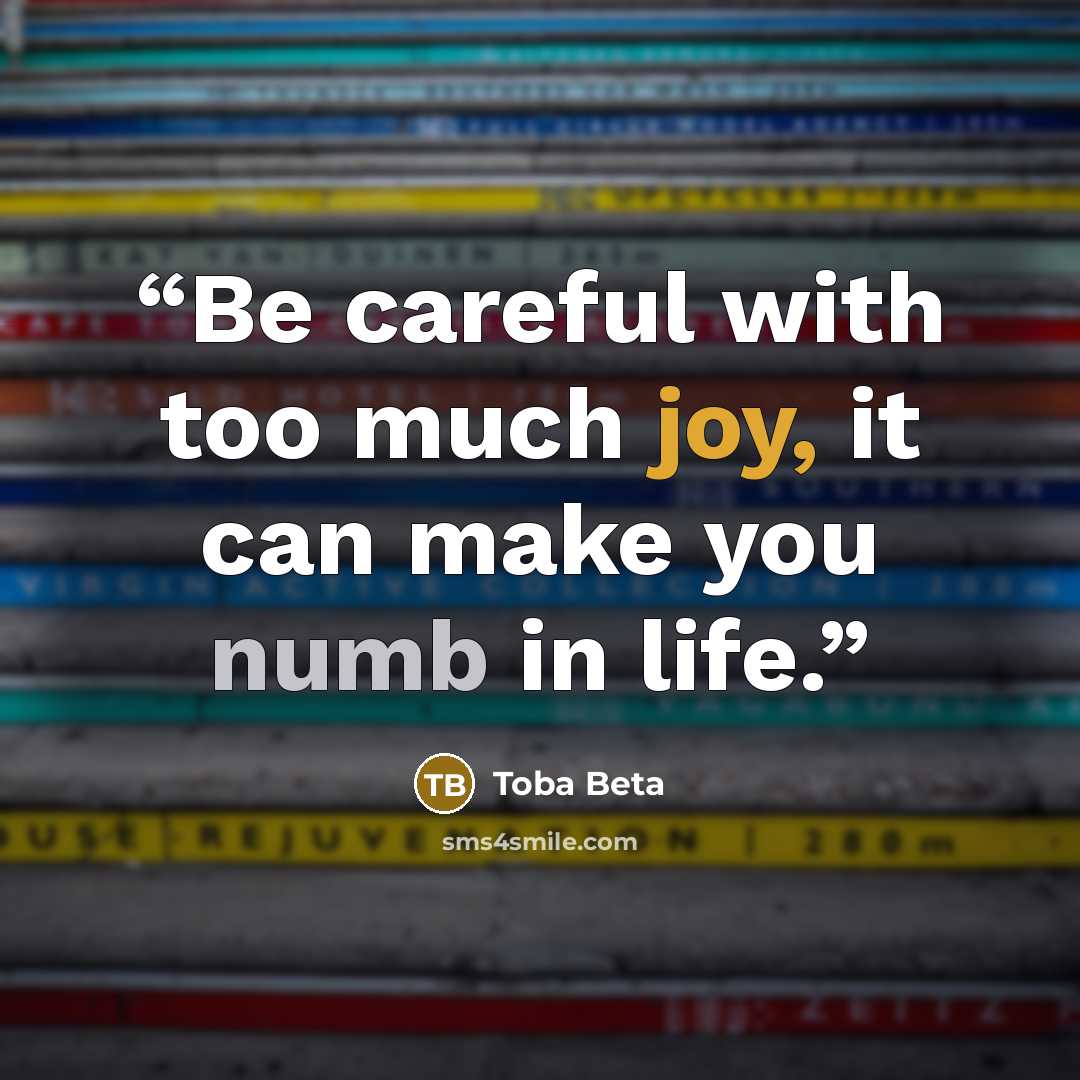 “Be careful with too much joy, it can make you numb in life.” quote by Toba Beta