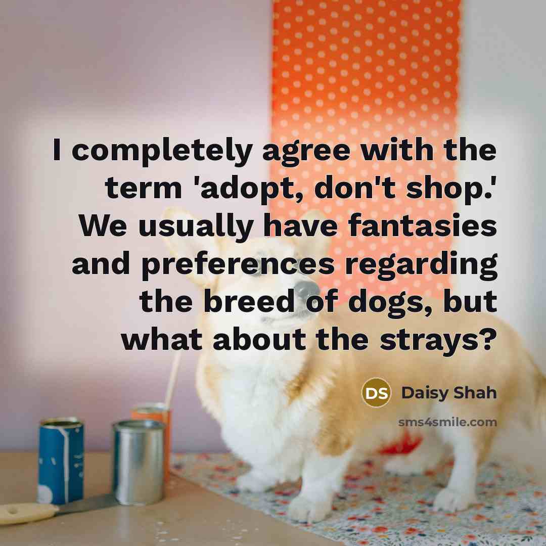 “I completely agree with the term 'adopt, don't shop.' We usually have fantasies and preferences regarding the breed of dogs, but what about the strays?” quote by Daisy Shah