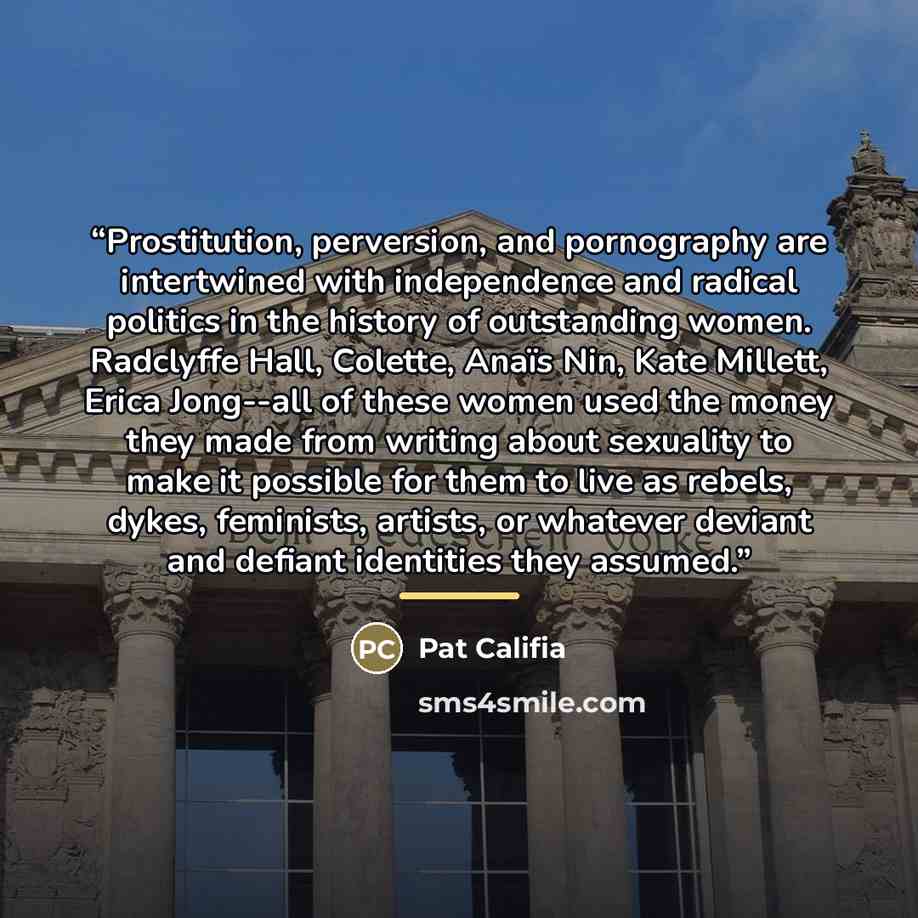 “Prostitution, perversion, and pornography are intertwined with independence and radical politics in the history of outstanding women. Radclyffe Hall, Colette, Anaïs Nin, Kate Millett, Erica Jong--all of these women used the money they made from writing about sexuality to make it possible for them…” quote by Pat Califia