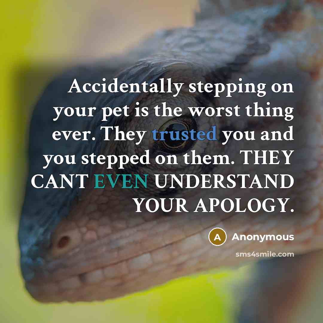 “Accidentally stepping on your pet is the worst thing ever. They trusted you and you stepped on them. THEY CANT EVEN UNDERSTAND YOUR APOLOGY.” quote by Anonymous