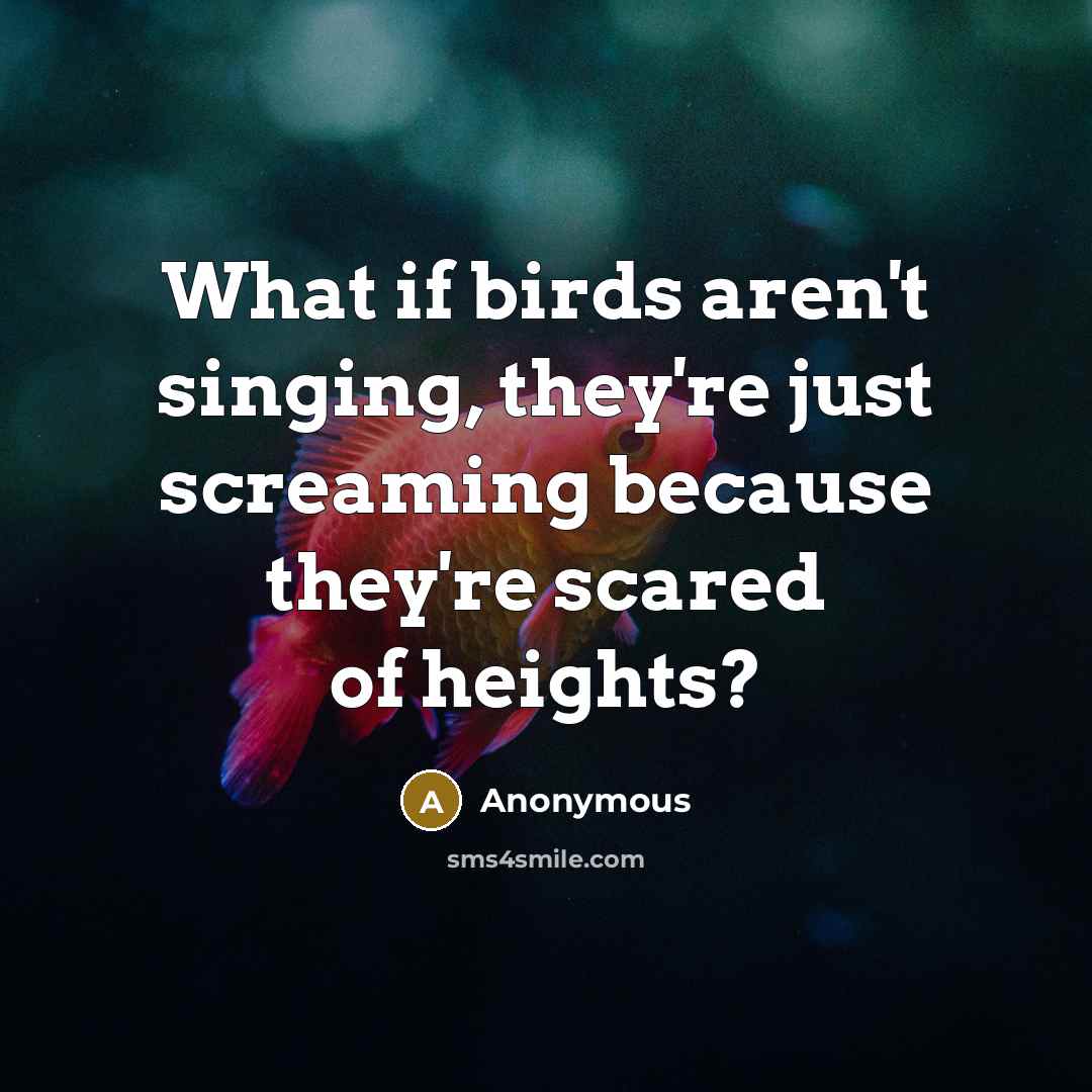 “What if birds aren't singing, they're just screaming because they're scared of heights?” quote by Anonymous