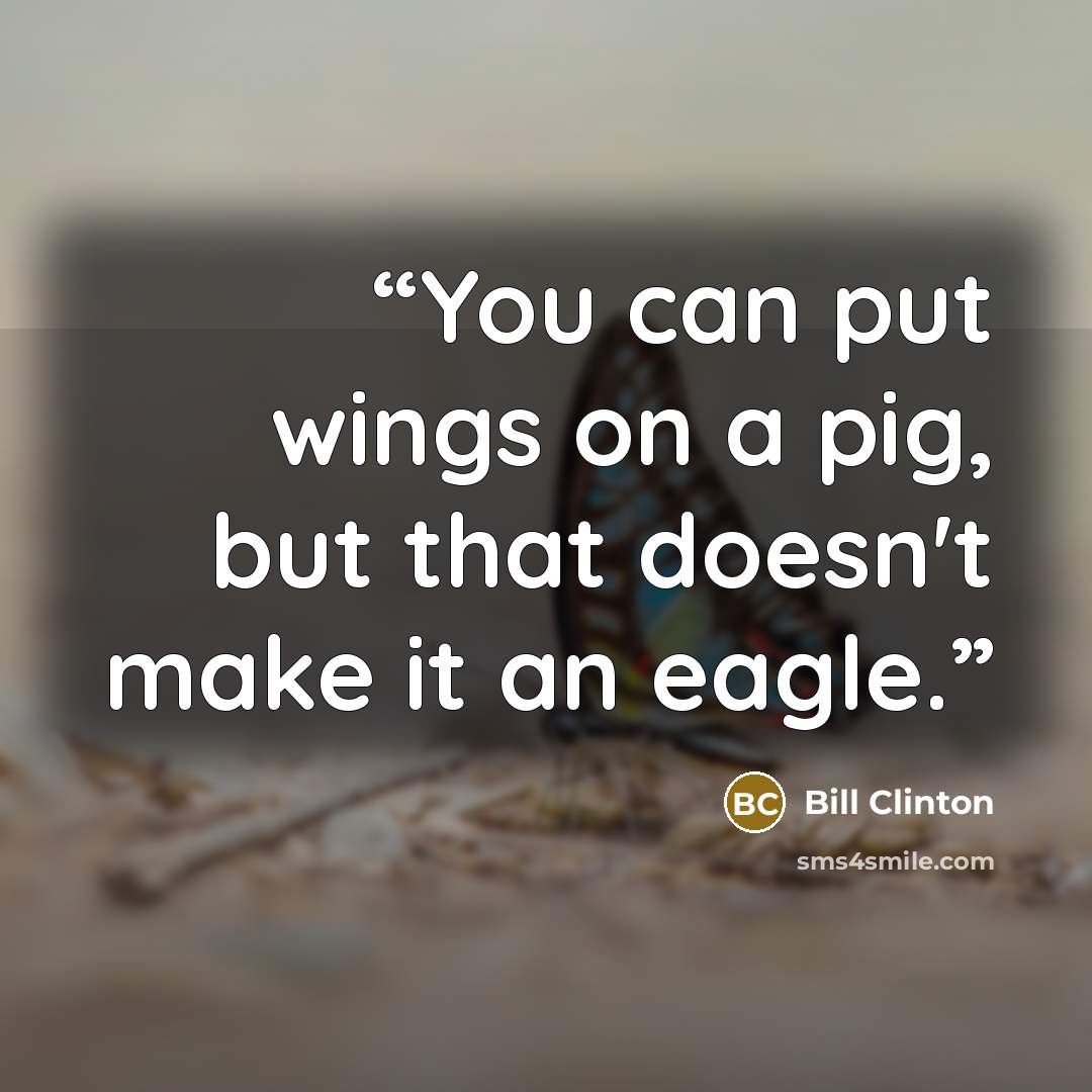 “You can put wings on a pig, but that doesn't make it an eagle.” quote by Bill Clinton