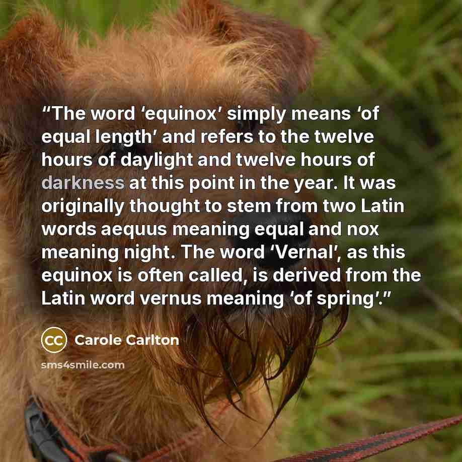 “The word ‘equinox’ simply means ‘of equal length’ and refers to the twelve hours of daylight and twelve hours of darkness at this point in the year. It was originally thought to stem from two Latin words aequus meaning equal and nox meaning night. The word ‘Vernal’, as this equinox is often…” quote by Carole Carlton