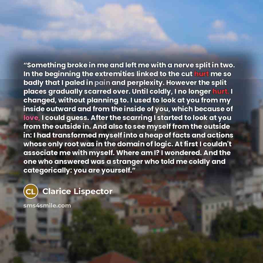 “Something broke in me and left me with a nerve split in two. In the beginning the extremities linked to the cut hurt me so badly that I paled in pain and perplexity. However the split places gradually scarred over. Until coldly, I no longer hurt. I changed, without planning to. I used to look at…” quote by Clarice Lispector