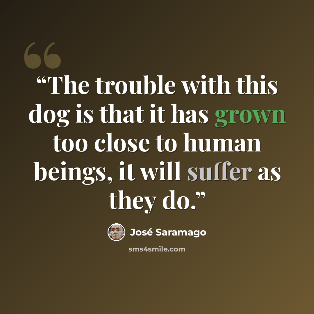 “The trouble with this dog is that it has grown too close to human beings, it will suffer as they do.” quote by José Saramago