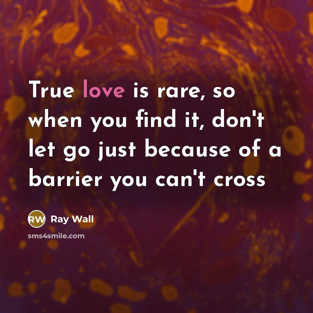 “True love is rare, so when you find it, don't let go just because of a barrier you can't cross” quote by Ray Wall