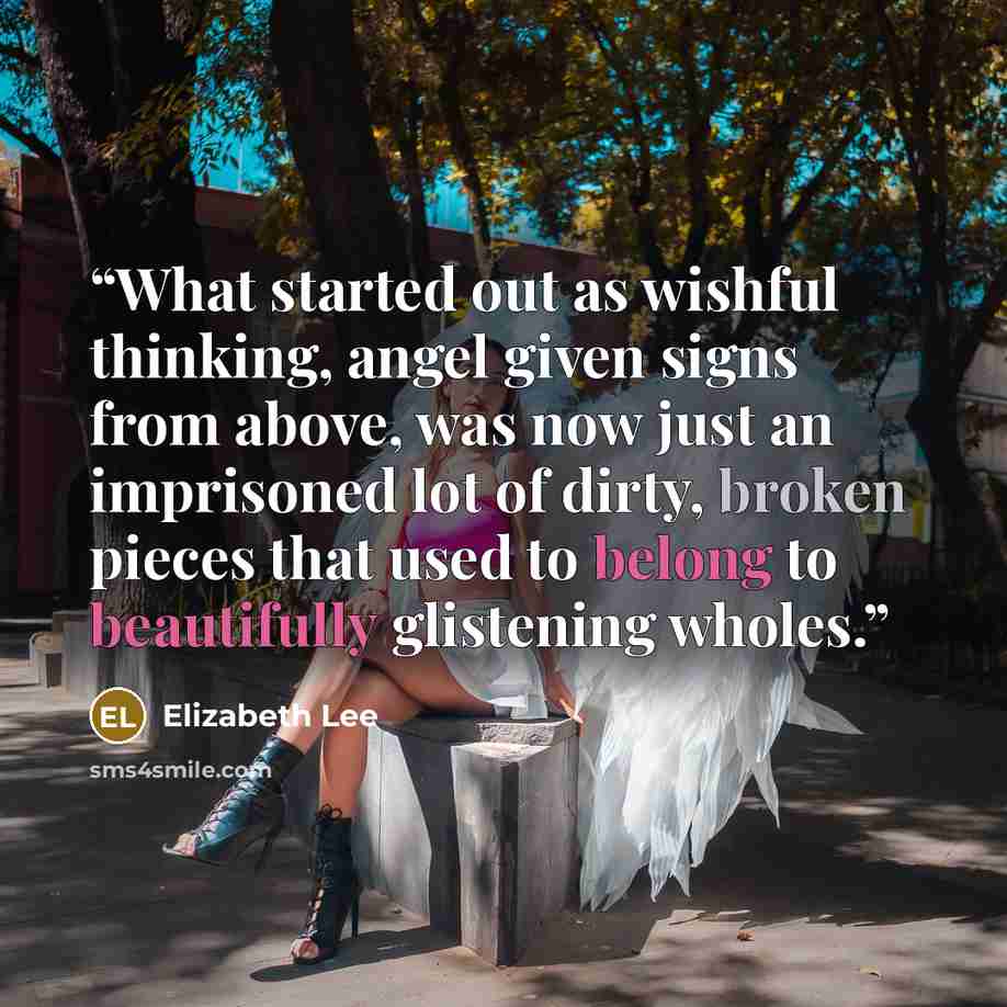 “What started out as wishful thinking, angel given signs from above, was now just an imprisoned lot of dirty, broken pieces that used to belong to beautifully glistening wholes.” quote by Elizabeth Lee