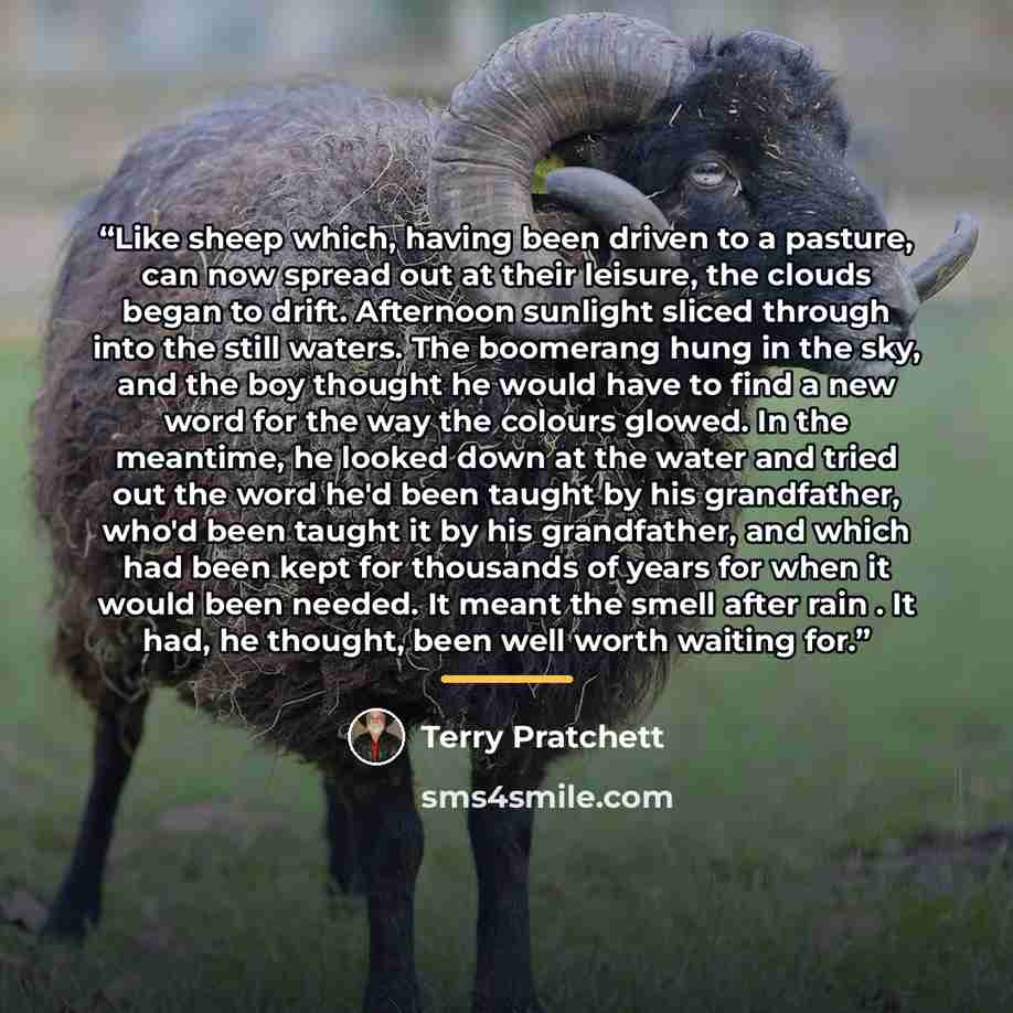“Like sheep which, having been driven to a pasture, can now spread out at their leisure, the clouds began to drift. Afternoon sunlight sliced through into the still waters. The boomerang hung in the sky, and the boy thought he would have to find a new word for the way the colours glowed. In the…” quote by Terry Pratchett