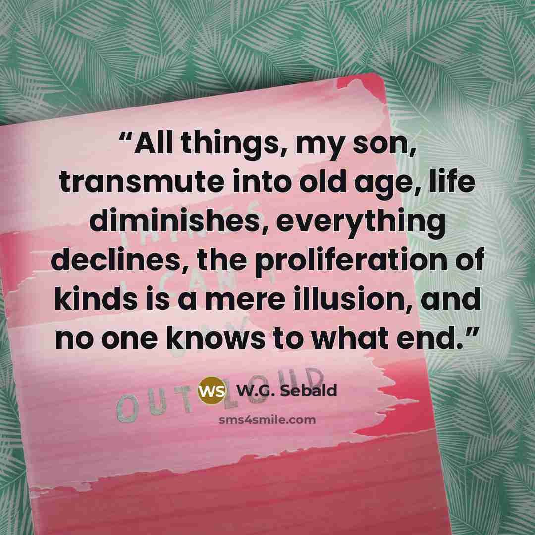 “All things, my son, transmute into old age, life diminishes, everything declines, the proliferation of kinds is a mere illusion, and no one knows to what end.” quote by W.G. Sebald