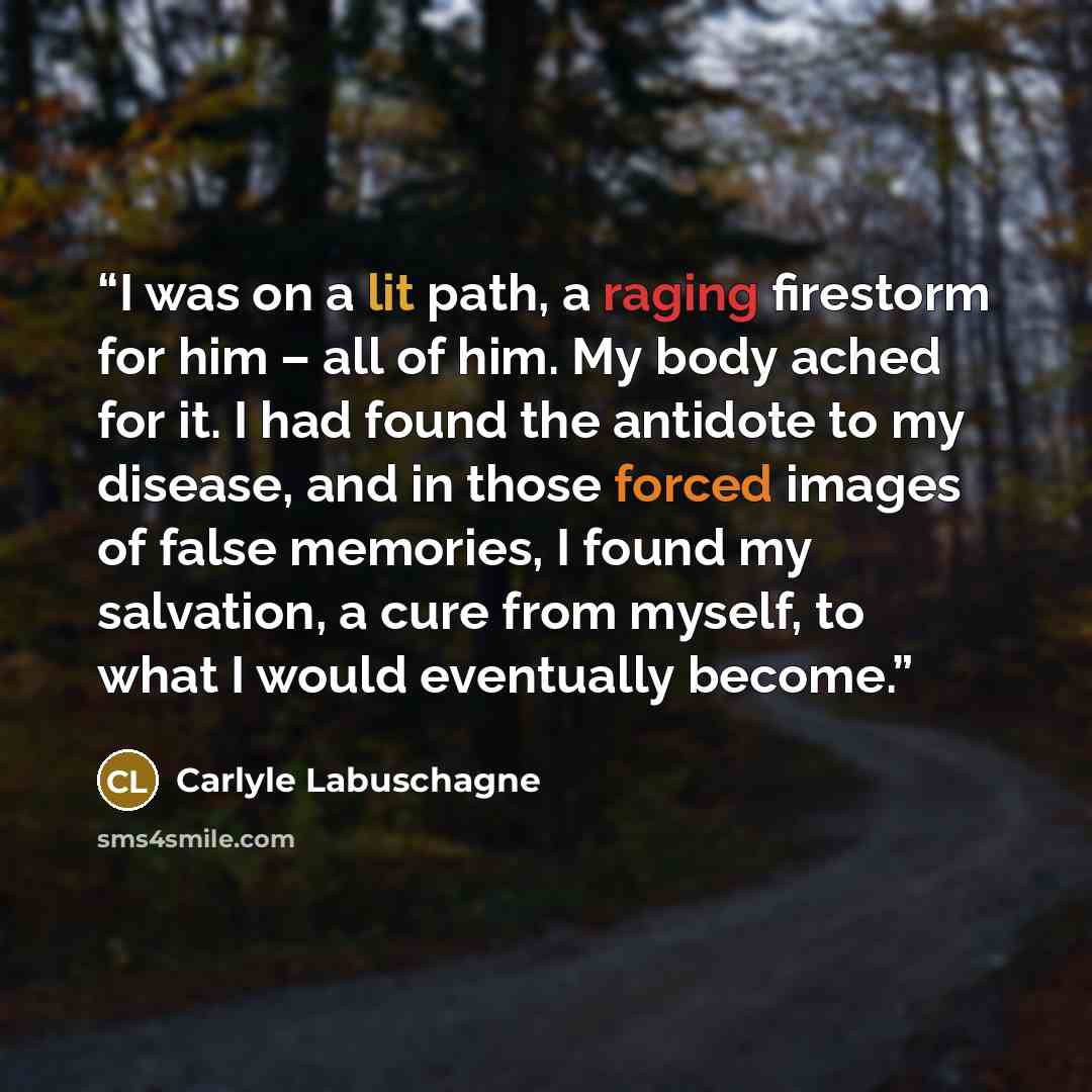 “I was on a lit path, a raging firestorm for him – all of him. My body ached for it. I had found the antidote to my disease, and in those forced images of false memories, I found my salvation, a cure from myself, to what I would eventually become.” quote by Carlyle Labuschagne