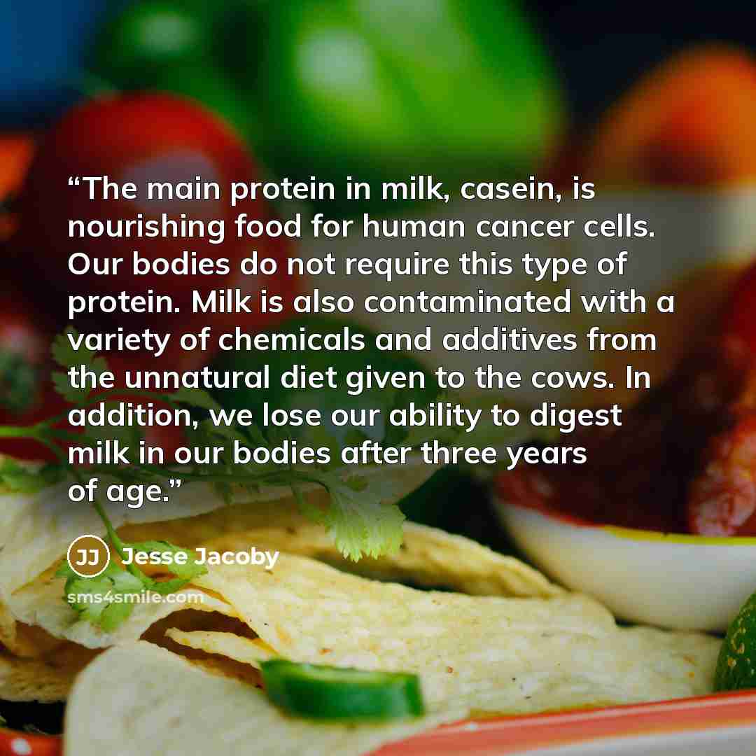 “The main protein in milk, casein, is nourishing food for human cancer cells. Our bodies do not require this type of protein. Milk is also contaminated with a variety of chemicals and additives from the unnatural diet given to the cows. In addition, we lose our ability to digest milk in our bodies…” quote by Jesse Jacoby