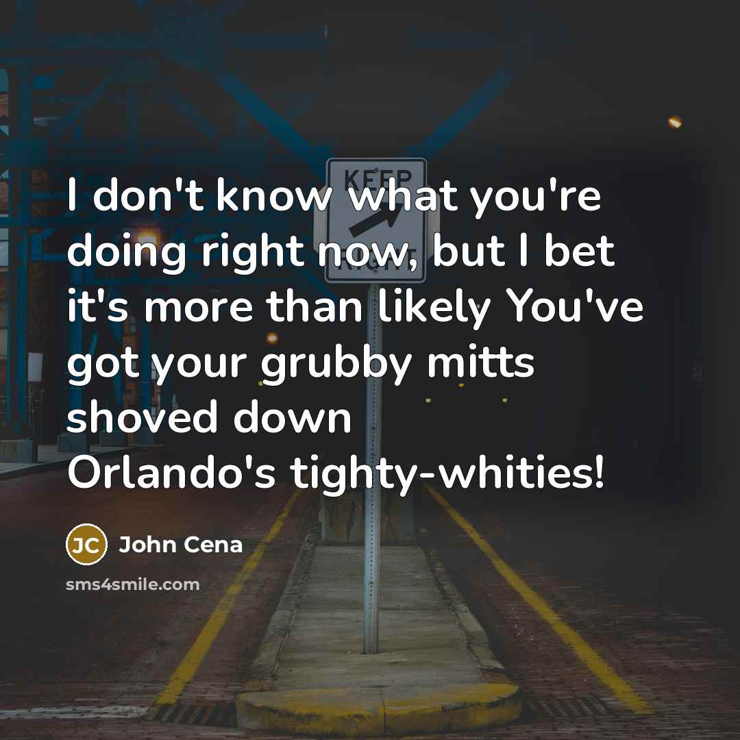 “I don't know what you're doing right now, but I bet it's more than likely You've got your grubby mitts shoved down Orlando's tighty-whities!” quote by John Cena