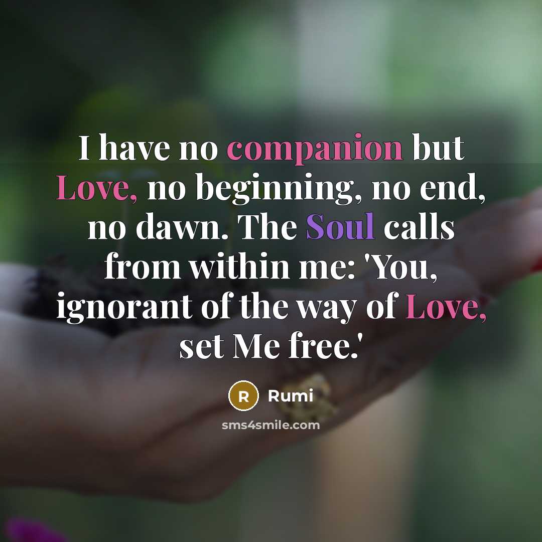 “I have no companion but Love, no beginning, no end, no dawn. The Soul calls from within me: 'You, ignorant of the way of Love, set Me free.'” quote by Rumi