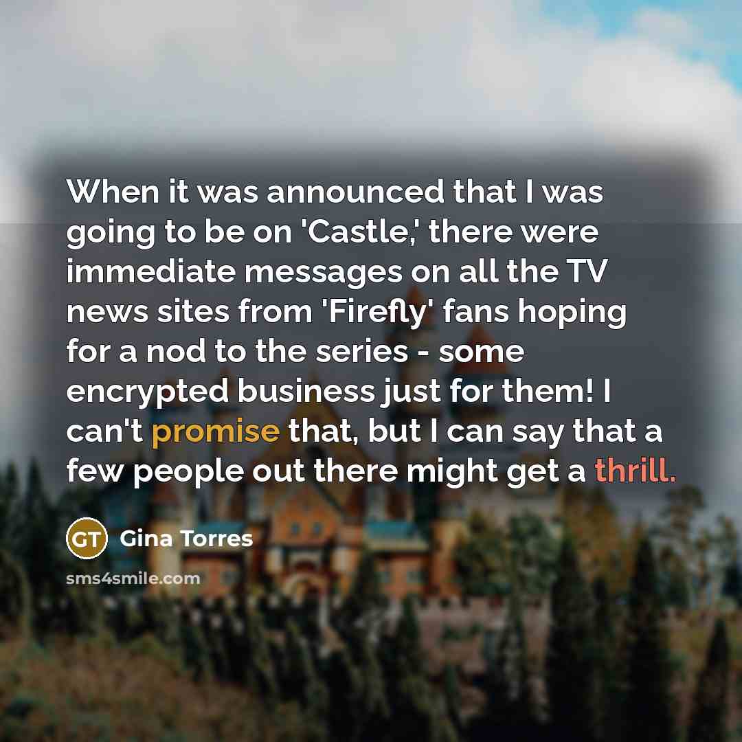 “When it was announced that I was going to be on 'Castle,' there were immediate messages on all the TV news sites from 'Firefly' fans hoping for a nod to the series - some encrypted business just for them! I can't promise that, but I can say that a few people out there might get a thrill.” quote by Gina Torres