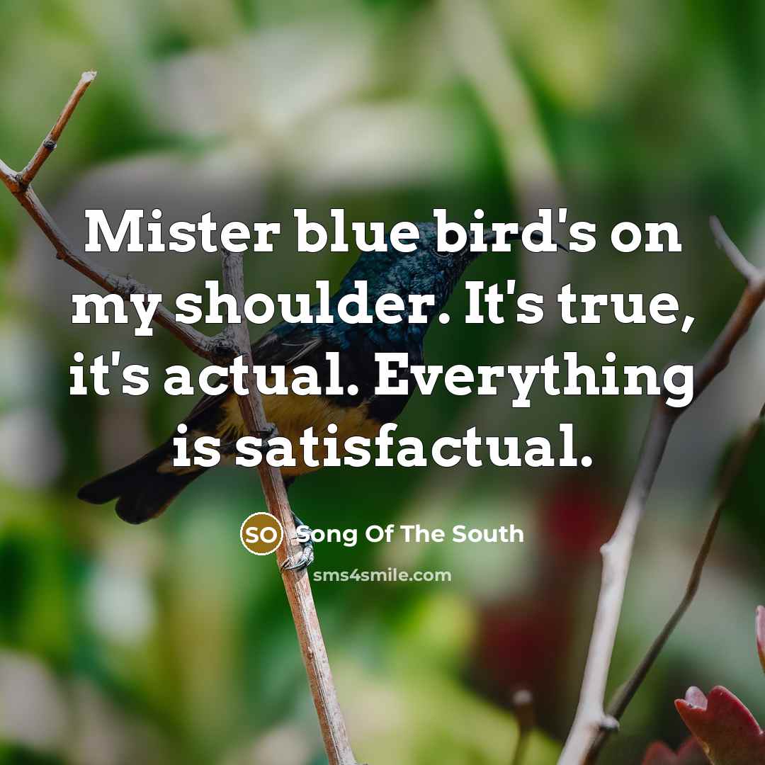 “Mister blue bird's on my shoulder. It's true, it's actual. Everything is satisfactual.” quote by Song Of The South