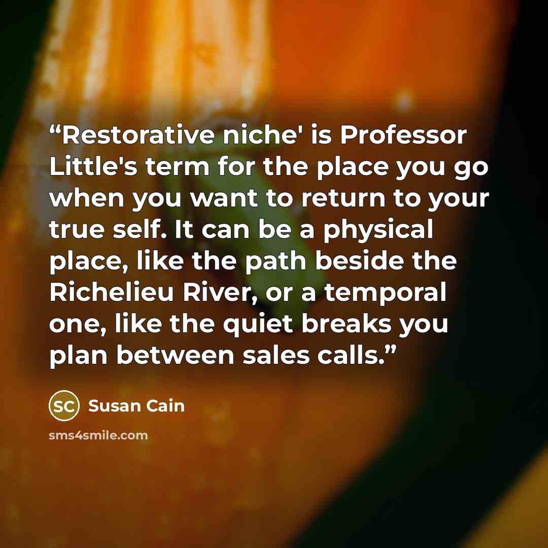 “Restorative niche' is Professor Little's term for the place you go when you want to return to your true self. It can be a physical place, like the path beside the Richelieu River, or a temporal one, like the quiet breaks you plan between sales calls.” quote by Susan Cain