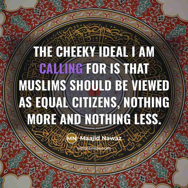 “The cheeky ideal I am calling for is that Muslims should be viewed as equal citizens, nothing more and nothing less.” quote by Maajid Nawaz