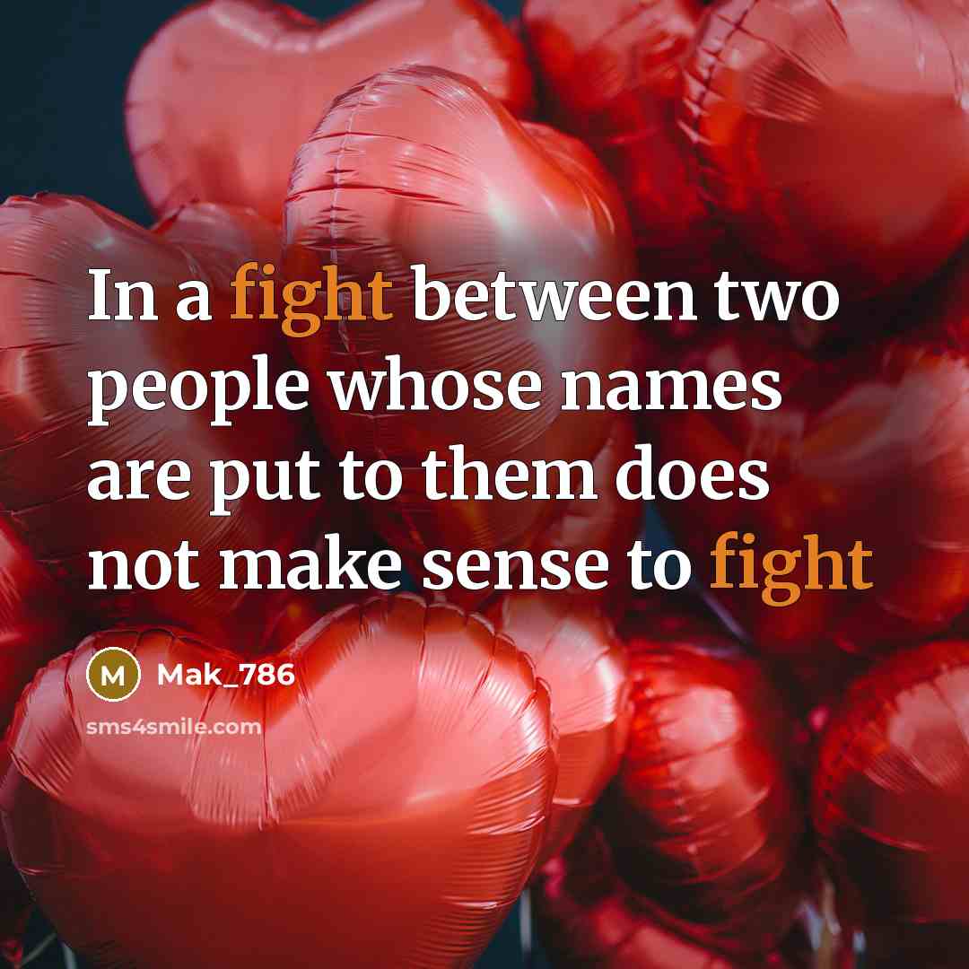 “In a fight between two people whose names are put to them does not make sense to fight” quote by Mak_786