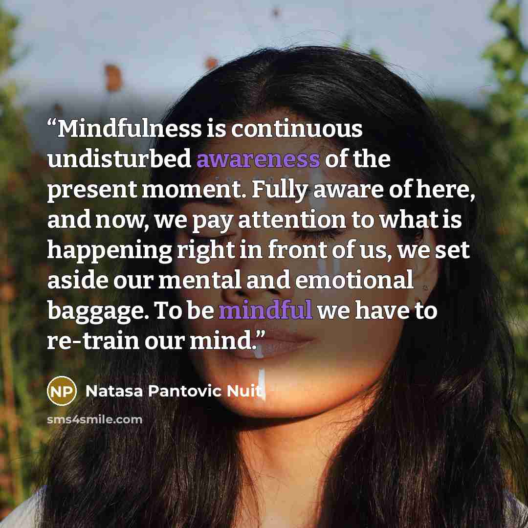 “Mindfulness is continuous undisturbed awareness of the present moment. Fully aware of here, and now, we pay attention to what is happening right in front of us, we set aside our mental and emotional baggage. To be mindful we have to re-train our mind.” quote by Natasa Pantovic Nuit