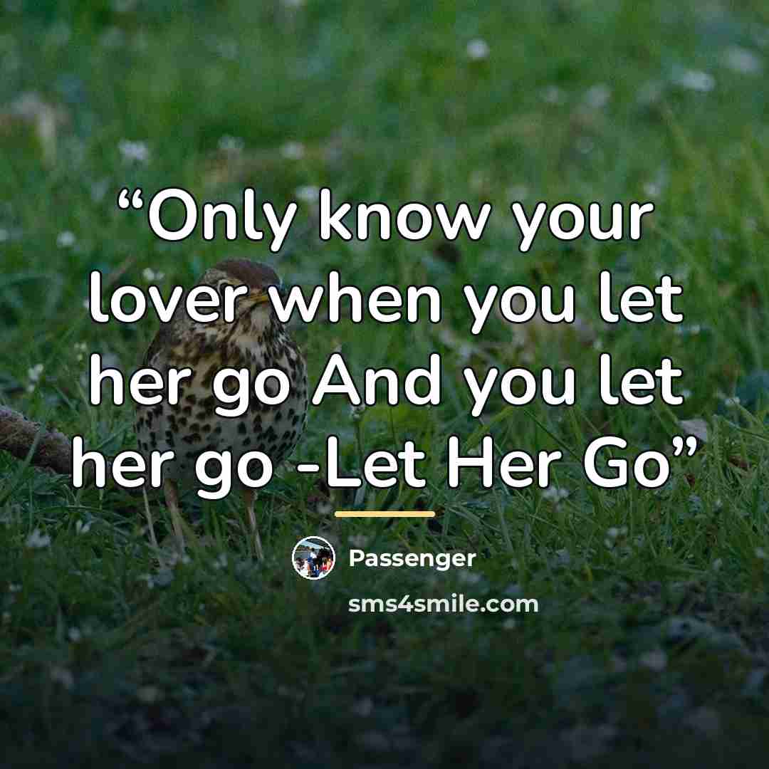 “Only know your lover when you let her go And you let her go -Let Her Go” quote by Passenger