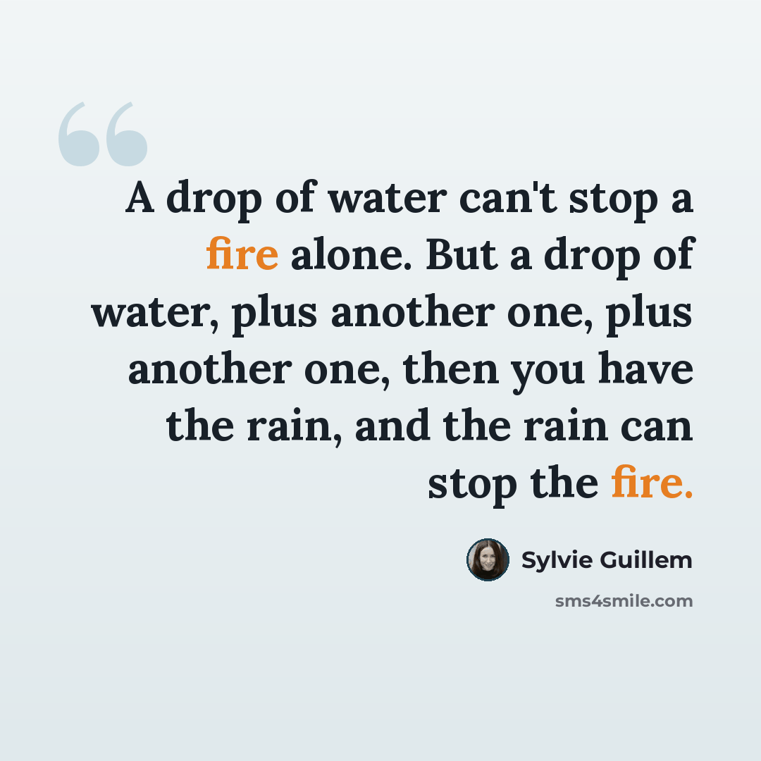 “A drop of water can't stop a fire alone. But a drop of water, plus another one, plus another one, then you have the rain, and the rain can stop the fire.” quote by Sylvie Guillem