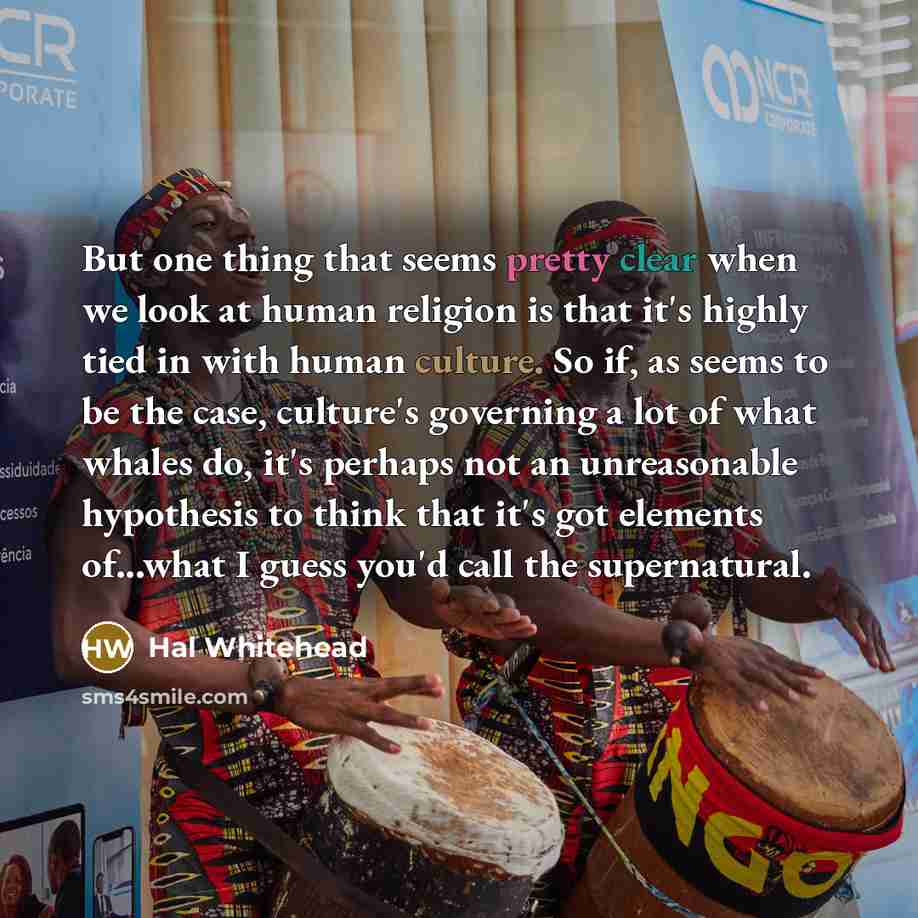 “But one thing that seems pretty clear when we look at human religion is that it's highly tied in with human culture. So if, as seems to be the case, culture's governing a lot of what whales do, it's perhaps not an unreasonable hypothesis to think that it's got elements of...what I guess you'd call…” quote by Hal Whitehead