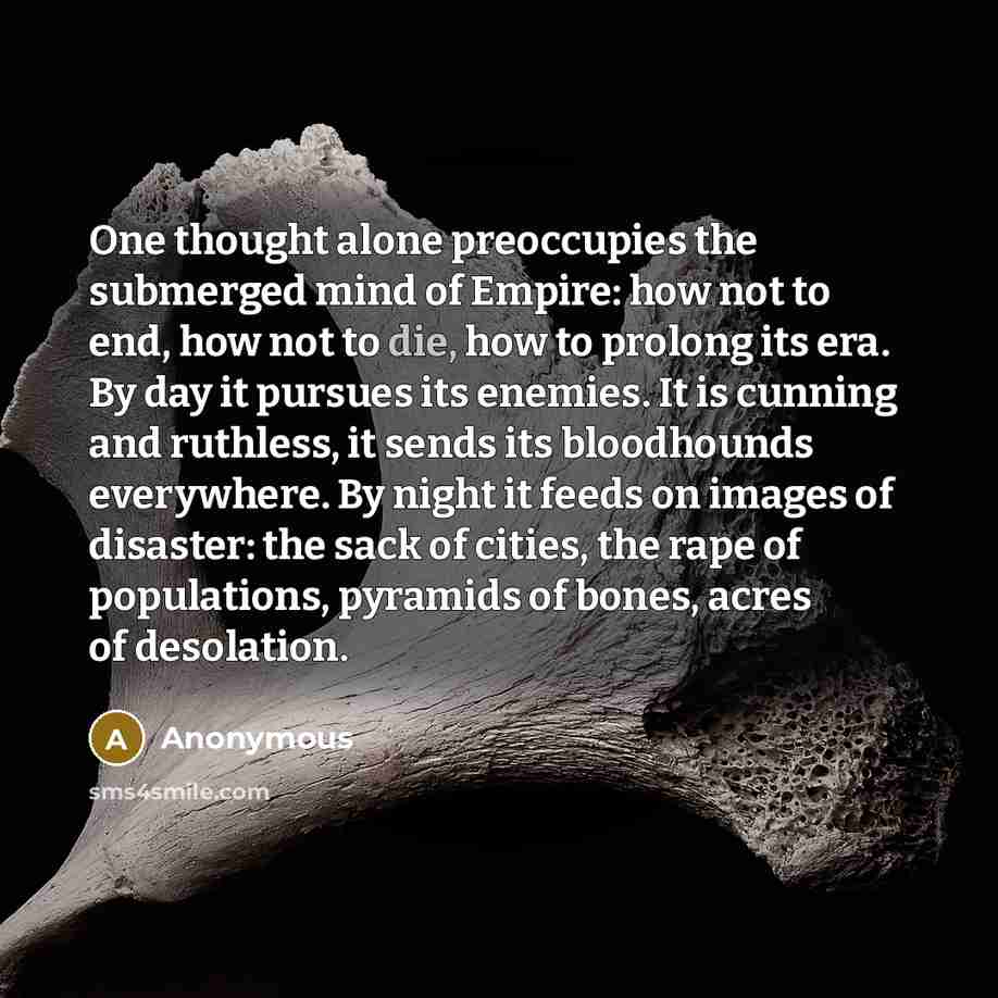 “One thought alone preoccupies the submerged mind of Empire: how not to end, how not to die, how to prolong its era. By day it pursues its enemies. It is cunning and ruthless, it sends its bloodhounds everywhere. By night it feeds on images of disaster: the sack of cities, the rape of populations…” quote by Anonymous