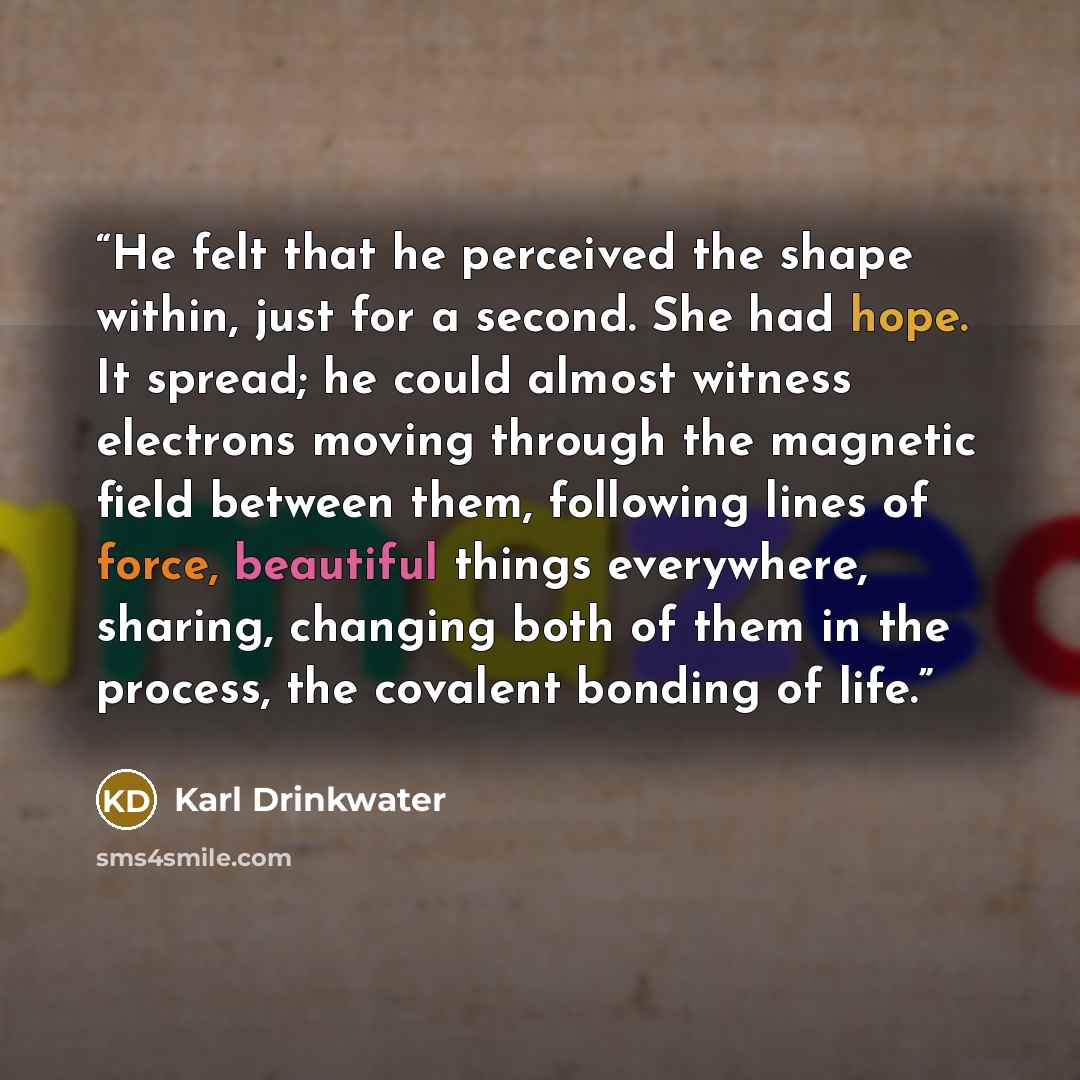 “He felt that he perceived the shape within, just for a second. She had hope. It spread; he could almost witness electrons moving through the magnetic field between them, following lines of force, beautiful things everywhere, sharing, changing both of them in the process, the covalent bonding of…” quote by Karl Drinkwater