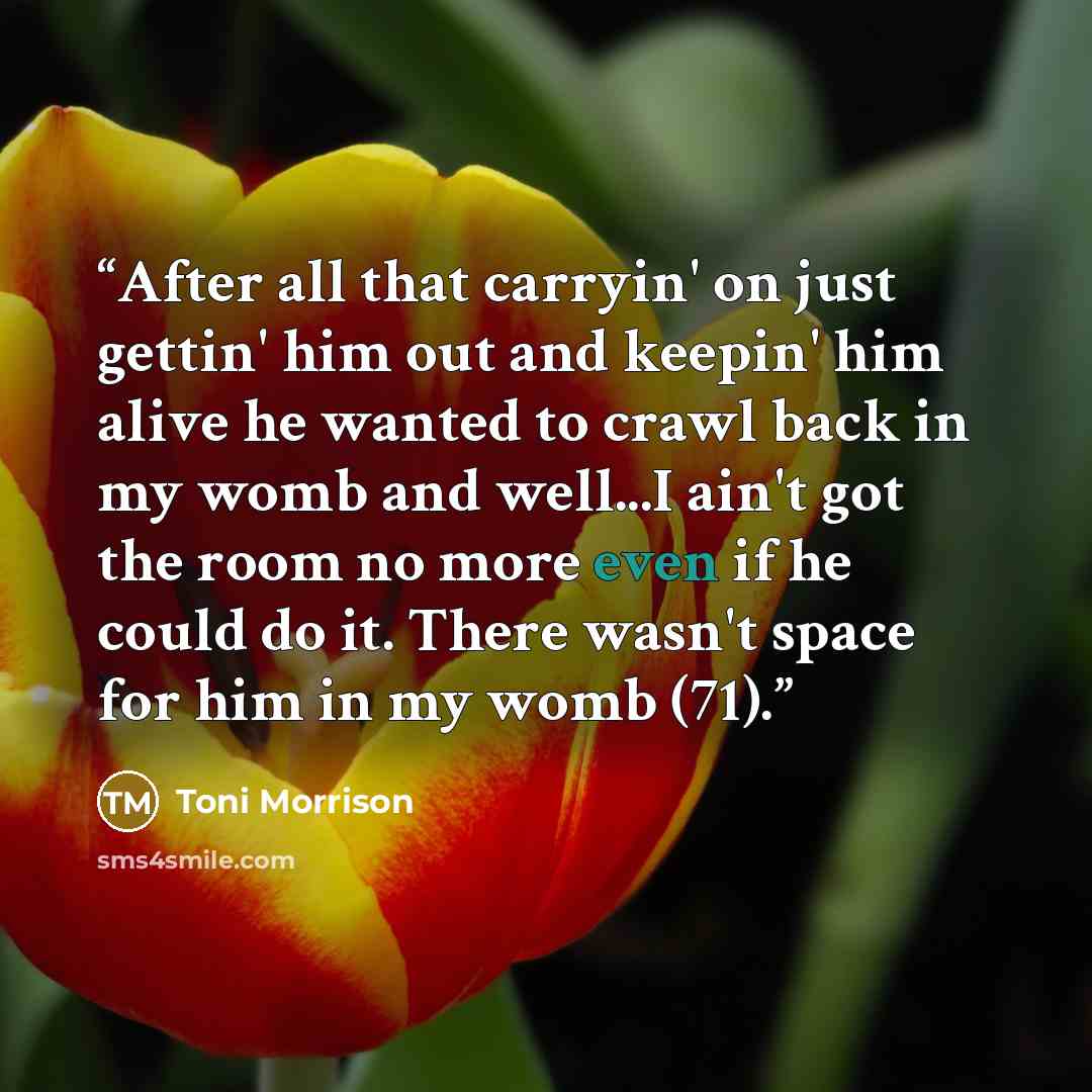 “After all that carryin' on just gettin' him out and keepin' him alive he wanted to crawl back in my womb and well...I ain't got the room no more even if he could do it. There wasn't space for him in my womb (71).” quote by Toni Morrison