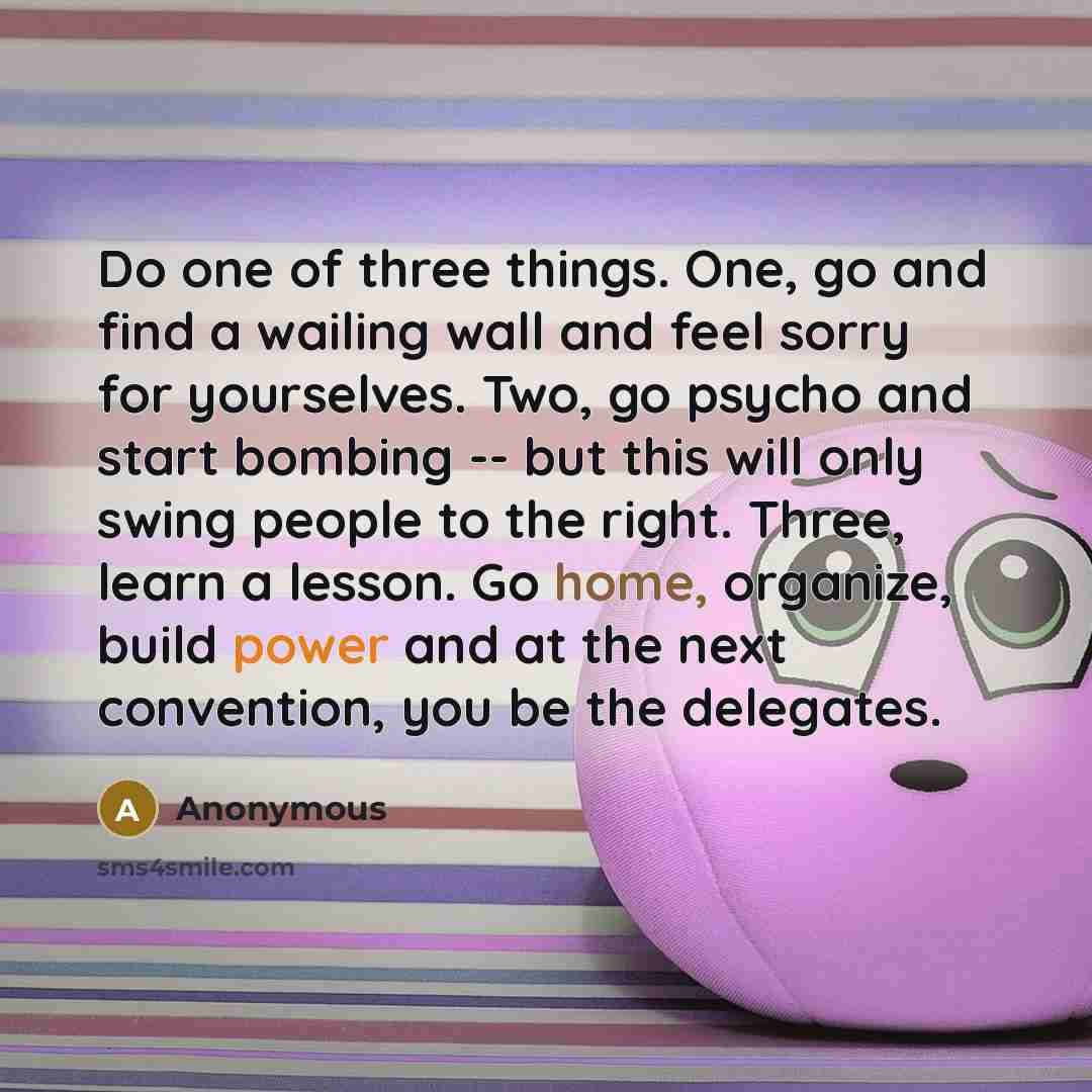 “Do one of three things. One, go and find a wailing wall and feel sorry for yourselves. Two, go psycho and start bombing -- but this will only swing people to the right. Three, learn a lesson. Go home, organize, build power and at the next convention, you be the delegates.” quote by Anonymous