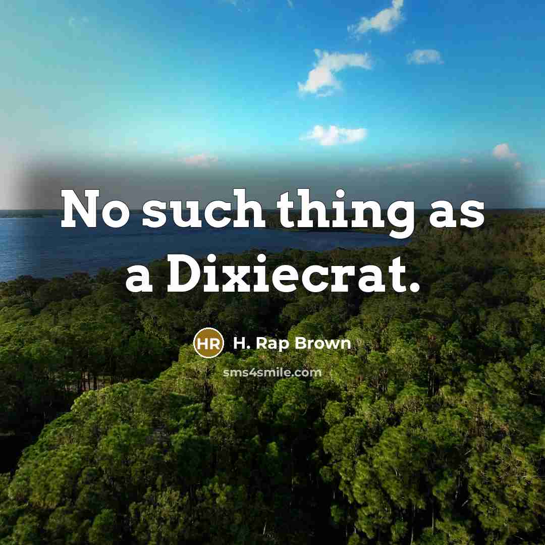 “No such thing as a Dixiecrat.” quote by H. Rap Brown