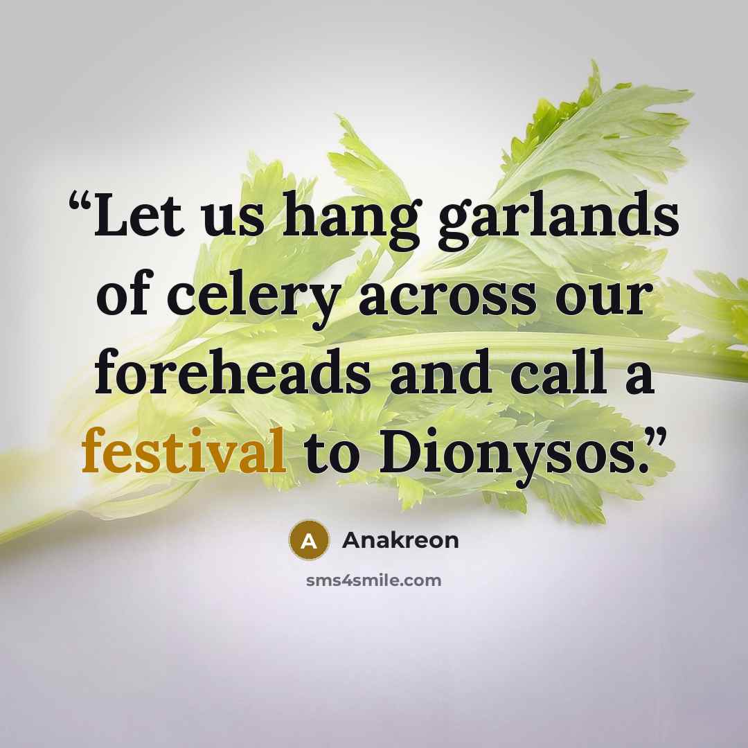 “Let us hang garlands of celery across our foreheads and call a festival to Dionysos.” quote by Anakreon